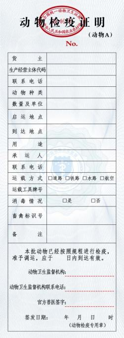A证