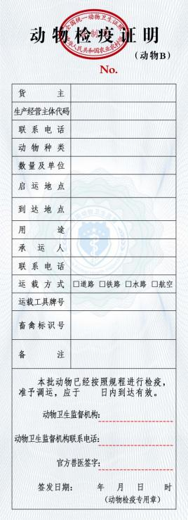 B证
